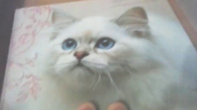 вечерний видео влог №10 / завтра в школу не хочю / кактус смотреть онлайн