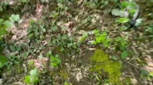 Посёлок Абрау- Дюрсо Люди живут между гор Побывали там и посмотрели