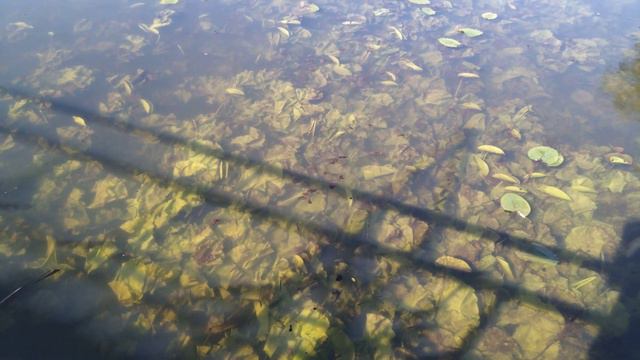 Клязьма. Московская область. смотреть онлайн