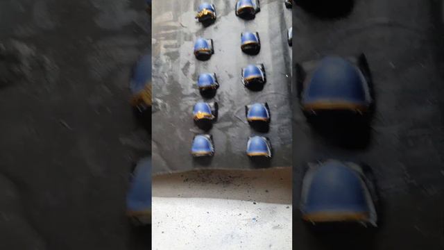 A noob builds Primaris Intercessors – Part 256 #fyp, #warhammer40k, #warhammer, #minis смотреть онлайн