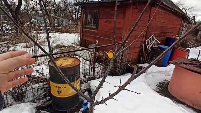 Обрезаю абрикос, форма кроны чаша(объёмная формировка). смотреть онлайн