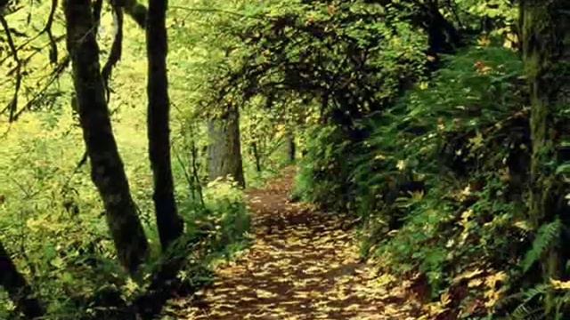 Prayer - Secret Garden