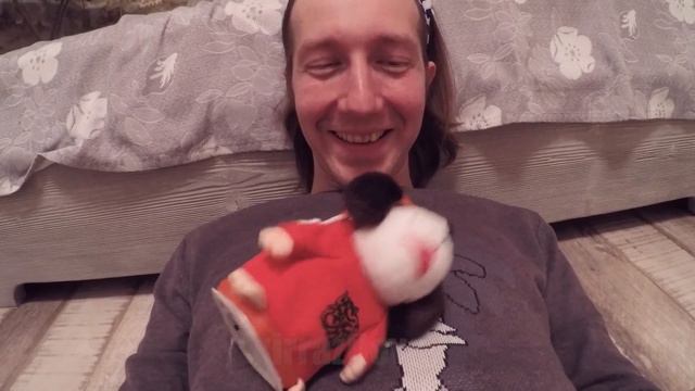 Странная игрушка Повторюшка (Собака повторяка) смотреть онлайн