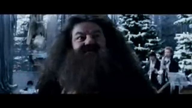 Приколы по Гарри Поттеру смотреть онлайн