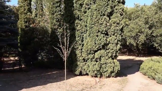 ⚡ ?КАК ИЗБАВИТЬСЯ ОТ НЕГАТИВА - ПРИЗВАТЬ БОГАТСТВО, УДАЧУ В ЖИЗНЬ!!!⚡ ? смотреть онлайн