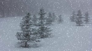 Футаж. Зимний пейзаж 66