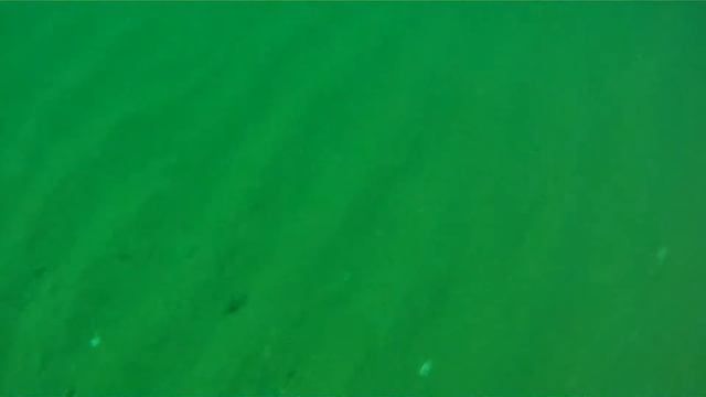 ПОДВОДНАЯ ОХОТА НА КАМБАЛУ смотреть онлайн