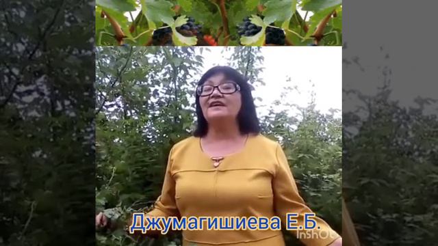 'Смуглянка'' на ногайском. Исполняют ветераны педагогического труда МКОУ Ортатюбинская СОШ смотреть онлайн