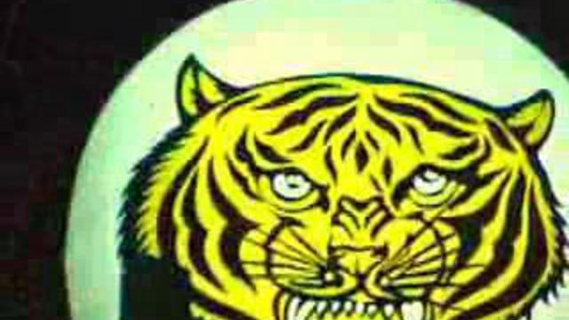 tiger bar смотреть онлайн