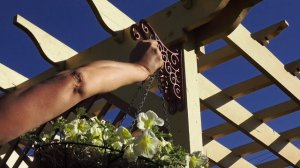 6 соток 8 июня 2024 года. Хроника.