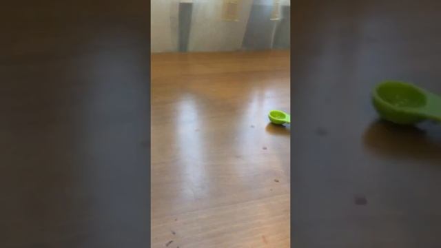 Выращиваем кристалл медного купороса смотреть онлайн