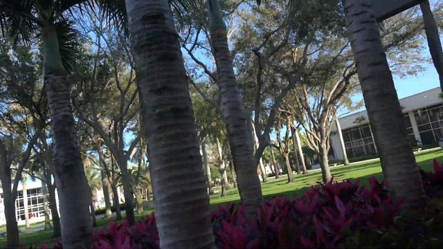 The week before Spring Break смотреть онлайн