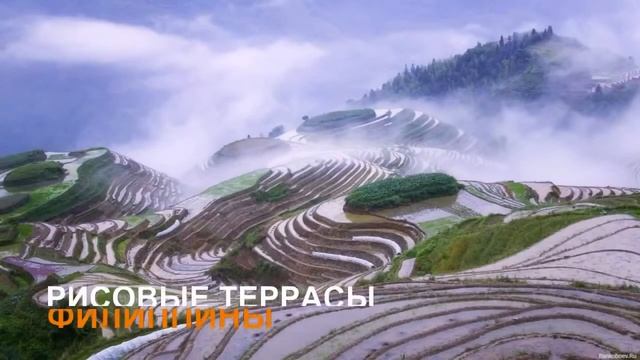 Природные сплит системы и кондиционеры смотреть онлайн