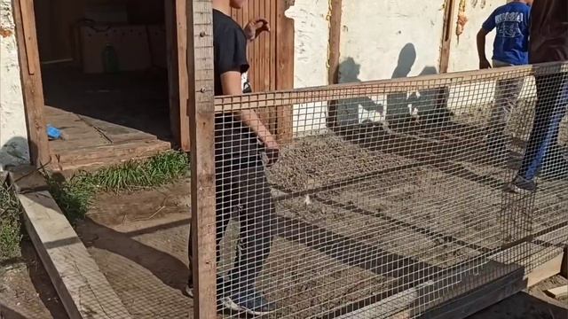 Страусы ЭМУ в Якутии смотреть онлайн