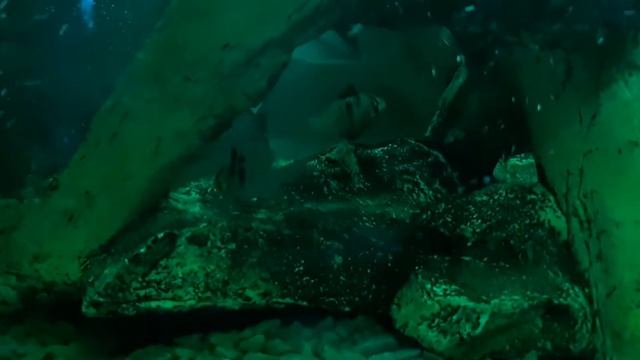 Апистограмма рамиреза, Карантин часть 2 смотреть онлайн