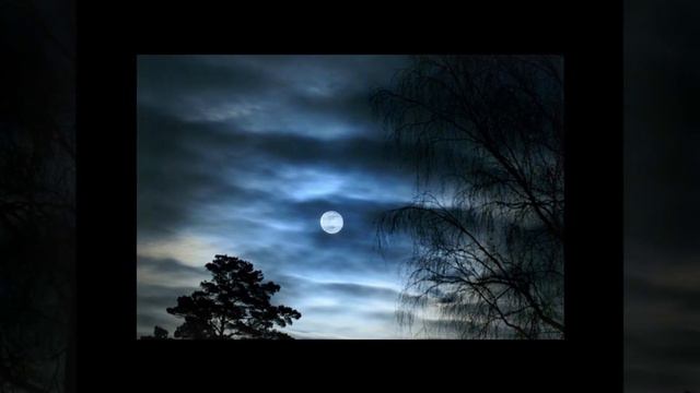 8. Ночь светла смотреть онлайн