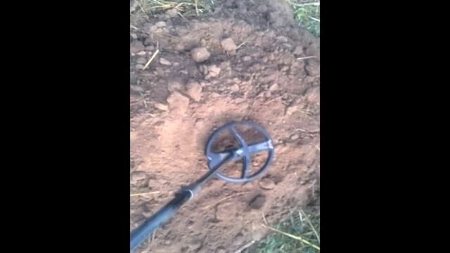 Клад монет  Ивана Грозного