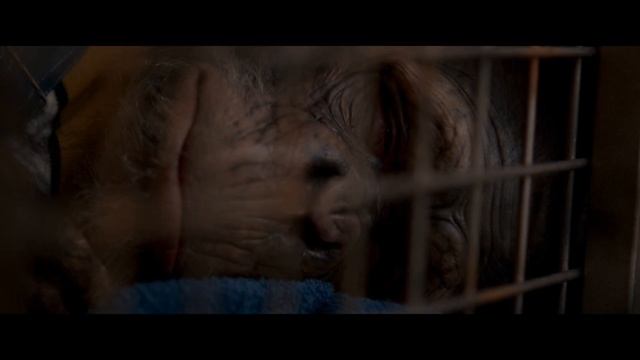 Кривая дорога |2024| Смотреть Онлайн |(Официальный дубляж, 4K ULTRA HD) Трейлер, Фильм, Кино смотреть онлайн