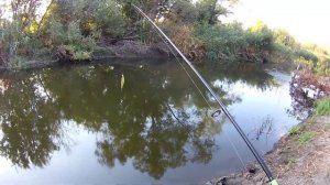 Соревнование воблеров  TsuYoki Watson 110SP против Strike PRO Inquisitor 110SP