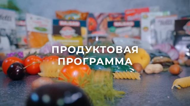 OneSW: презентация компании 2024 смотреть онлайн