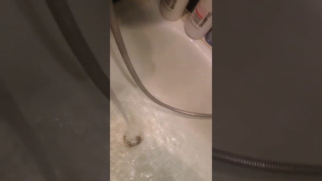 Как правильно есть воду смотреть онлайн
