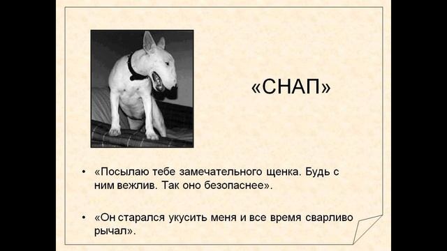 Снап, Сэтон Томпсон ,Рассказы о животных ,читает Павел Беседин смотреть онлайн