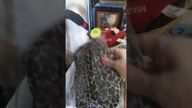 Заказ на номер мужа по 9 каталогу смотреть онлайн