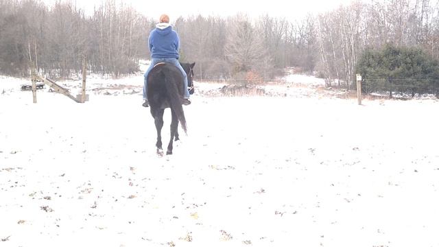 appy mare смотреть онлайн