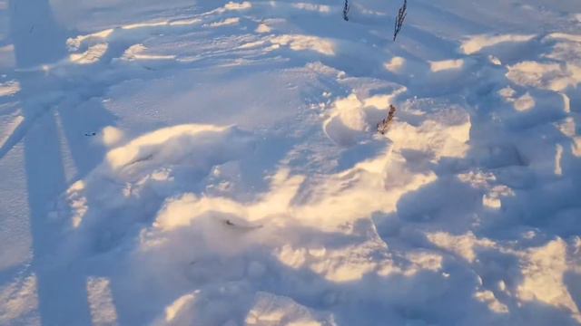 учимся кататься на сноуборде😳🤪😎 смотреть онлайн