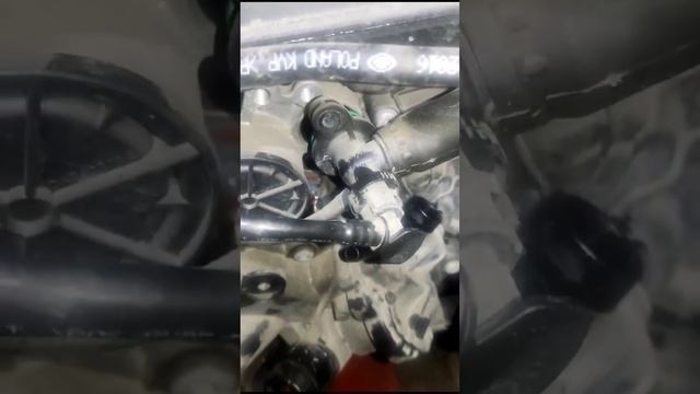 Skoda Octavia - замена помпы смотреть онлайн