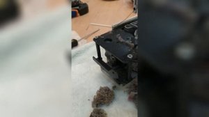 Швейная машина janome DC 2030 Не двигает ткань,не продвигает Как почистить и смазать машинку? Отзыв