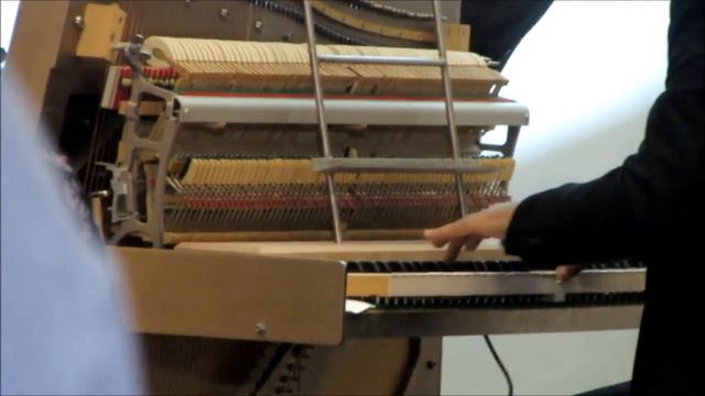 Bruno Sanfilippo on Klavins Una Corda (Piano Day / 25.3.2018) смотреть онлайн