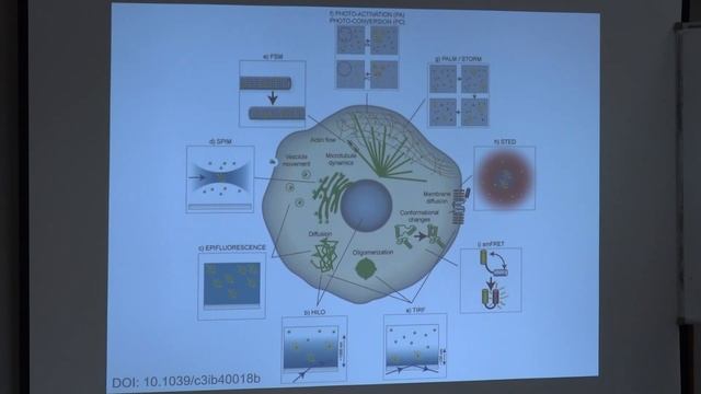 Фенюк Б. А. - Методы исследования единичных биомолекул - Лекция 8