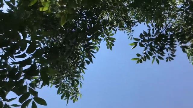 О РАНО УШЕДШЕМ В ВЕЧНОСТЬ «ЧТО БУРЕЙ, ВЕТЕР НАЛЕТЕВШИЙ»христианский стих читает автор Анна Юркин смотреть онлайн