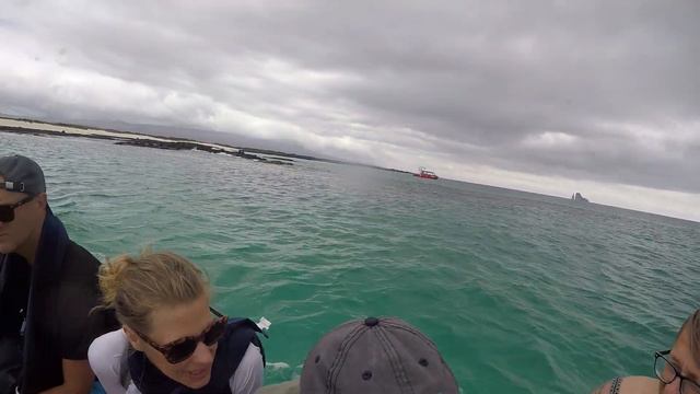 Galapagos Under Water смотреть онлайн