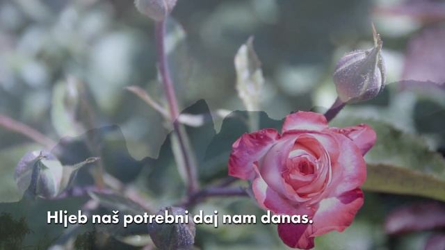 The Lord's Prayer in Serbian смотреть онлайн