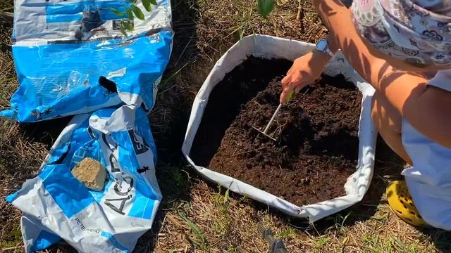 Как я сажаю голубику | Кабардинка и футбол | Идём к дольменам в с. Возрождение смотреть онлайн