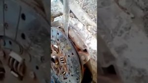 Ниссан атлас .сцепление