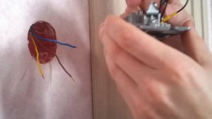 Установка двухклавишного выключателя c подсветкой фирмы Legrand