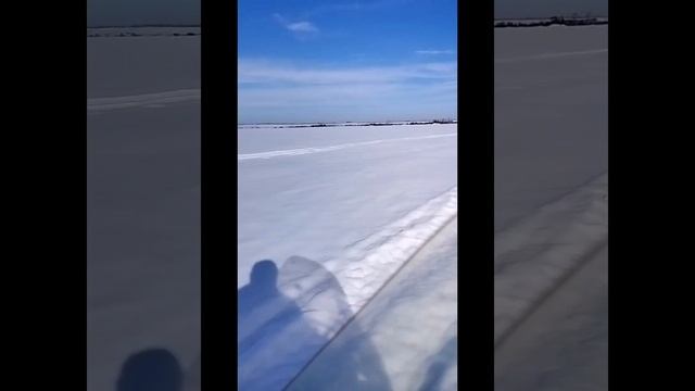 самодельная мотособака с модулем