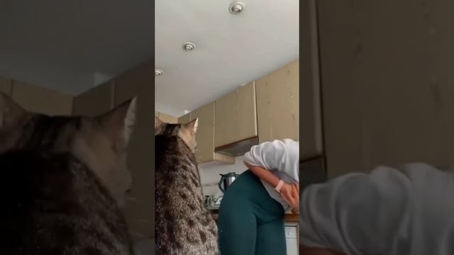кусь за сиську смотреть онлайн