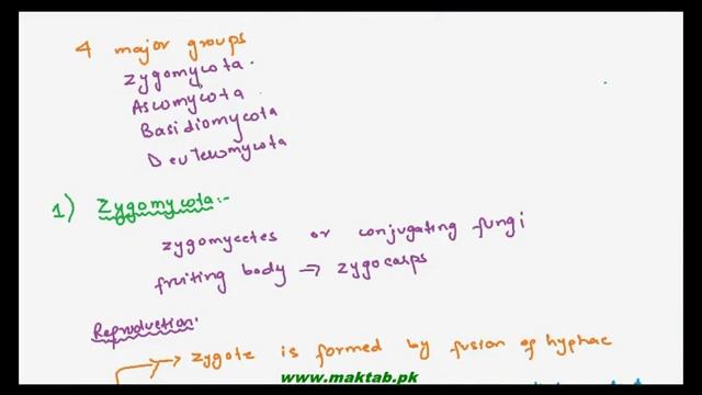 FSc Biology Book1, CH 8, LEC 5: Classification of Fungi – Zygomycota and Ascomycota смотреть онлайн