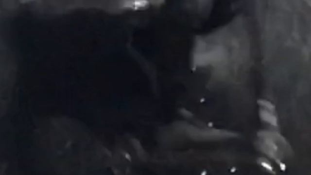 СЛОМАЛ НОГУ НА САМОКАТЕ С ФЛЕЕРА! смотреть онлайн