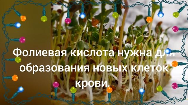 здоровый образ жизни