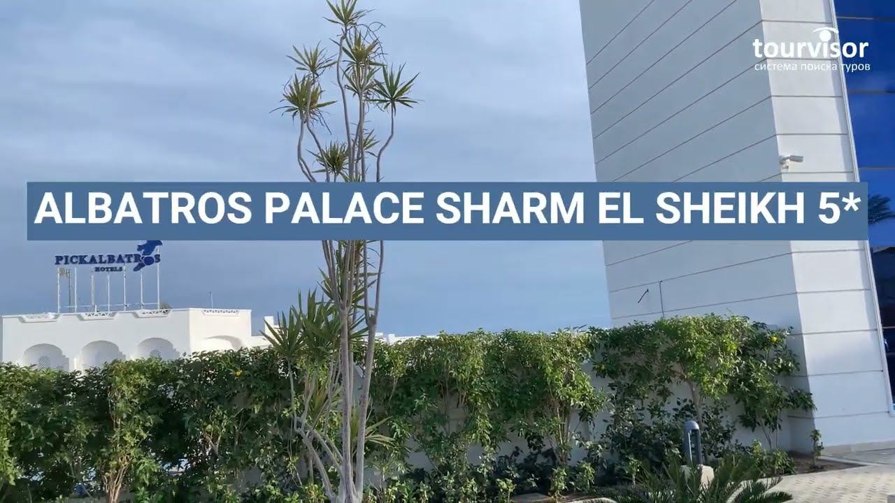 Albatros Palace Sharm El Sheikh 5* смотреть онлайн