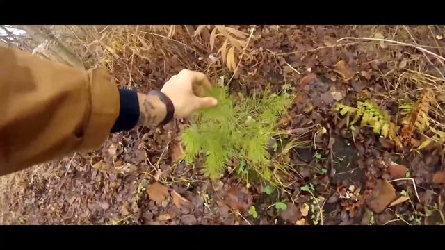 VLOG: ВСЁ ПРОПАЛО! / МАЛЫШОВ ДМИТРИЙ смотреть онлайн