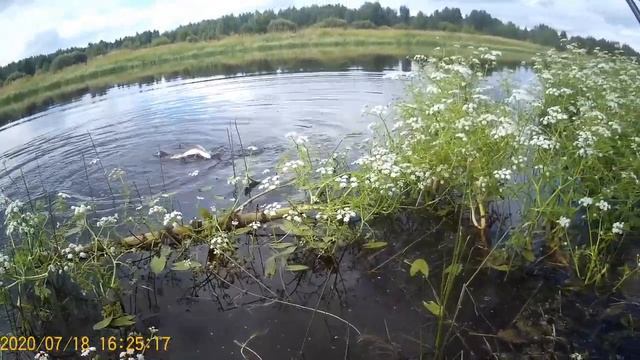 Щуки на Тюльку смотреть онлайн