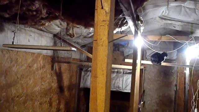 Удобства в сарае . смотреть онлайн