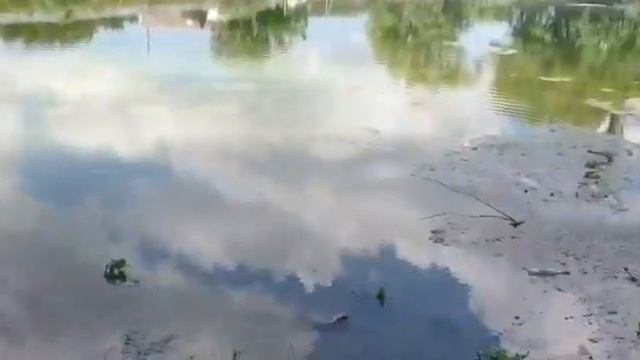 Крым_Холмовка_участки_ИЖС смотреть онлайн