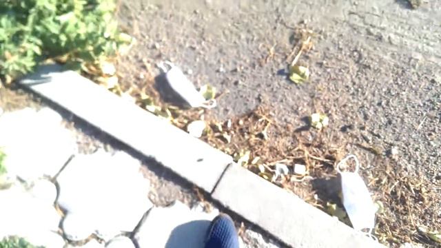 Такая остановка на Тубдиспансере город Талдыкорган смотреть онлайн